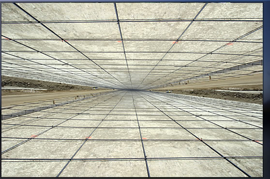 digital video art
